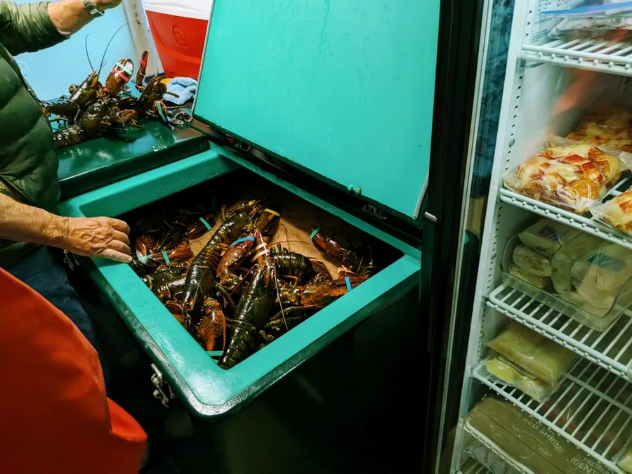 Freezer box 100 liter untuk kebutuhan acara dan tenant